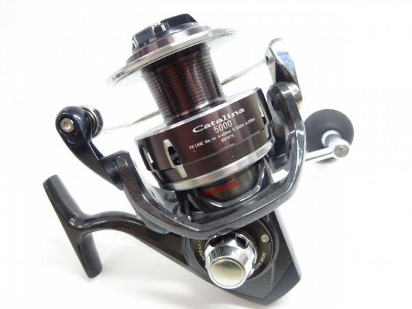 １６キャタリナ ５０００